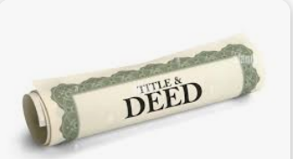 federal income tax withheld Interest